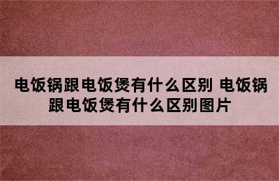 电饭锅跟电饭煲有什么区别 电饭锅跟电饭煲有什么区别图片